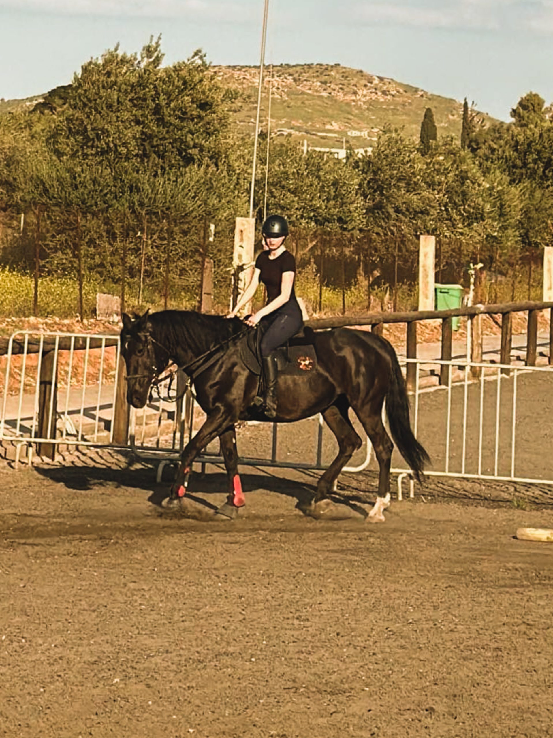 stgeorge25