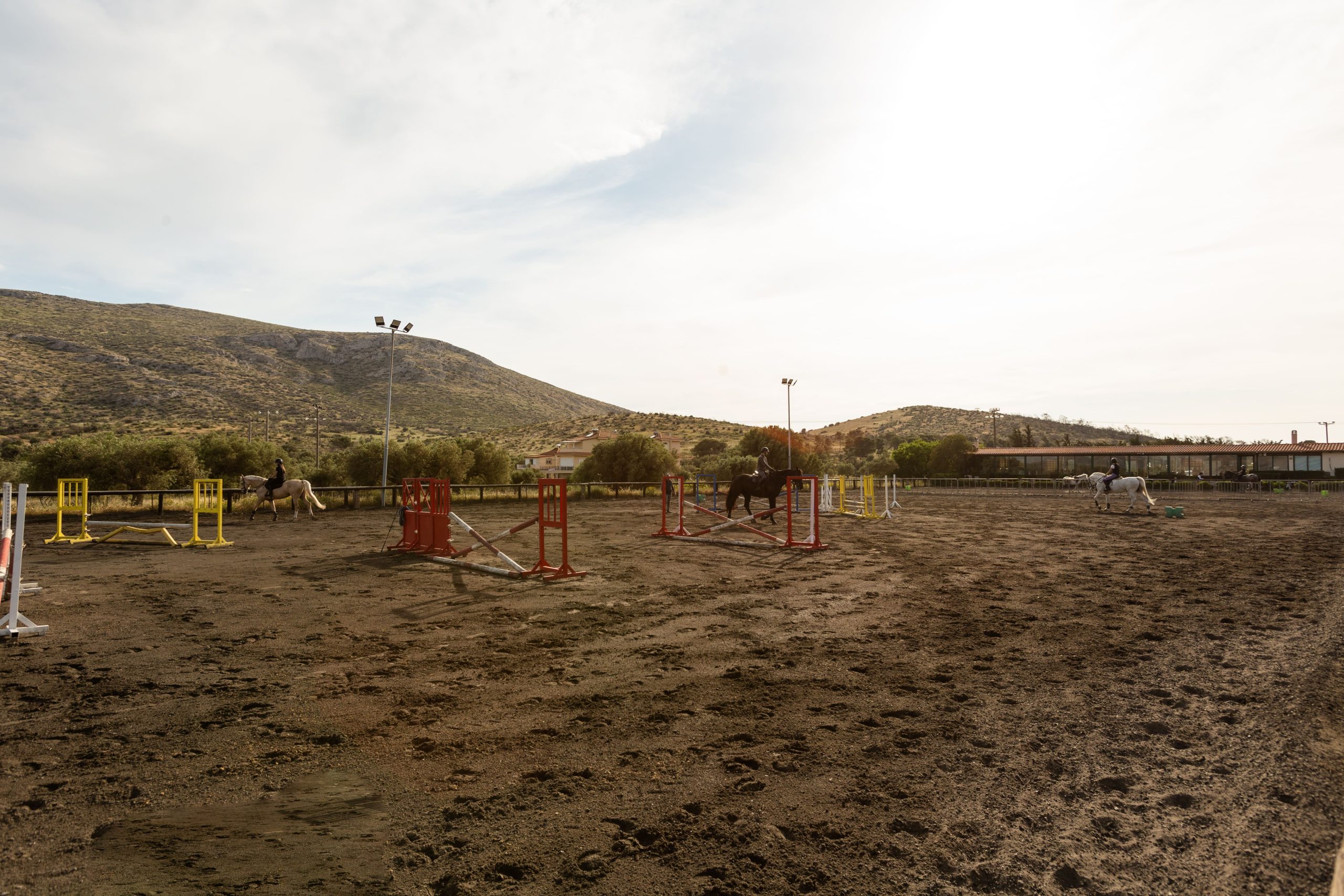 arena1