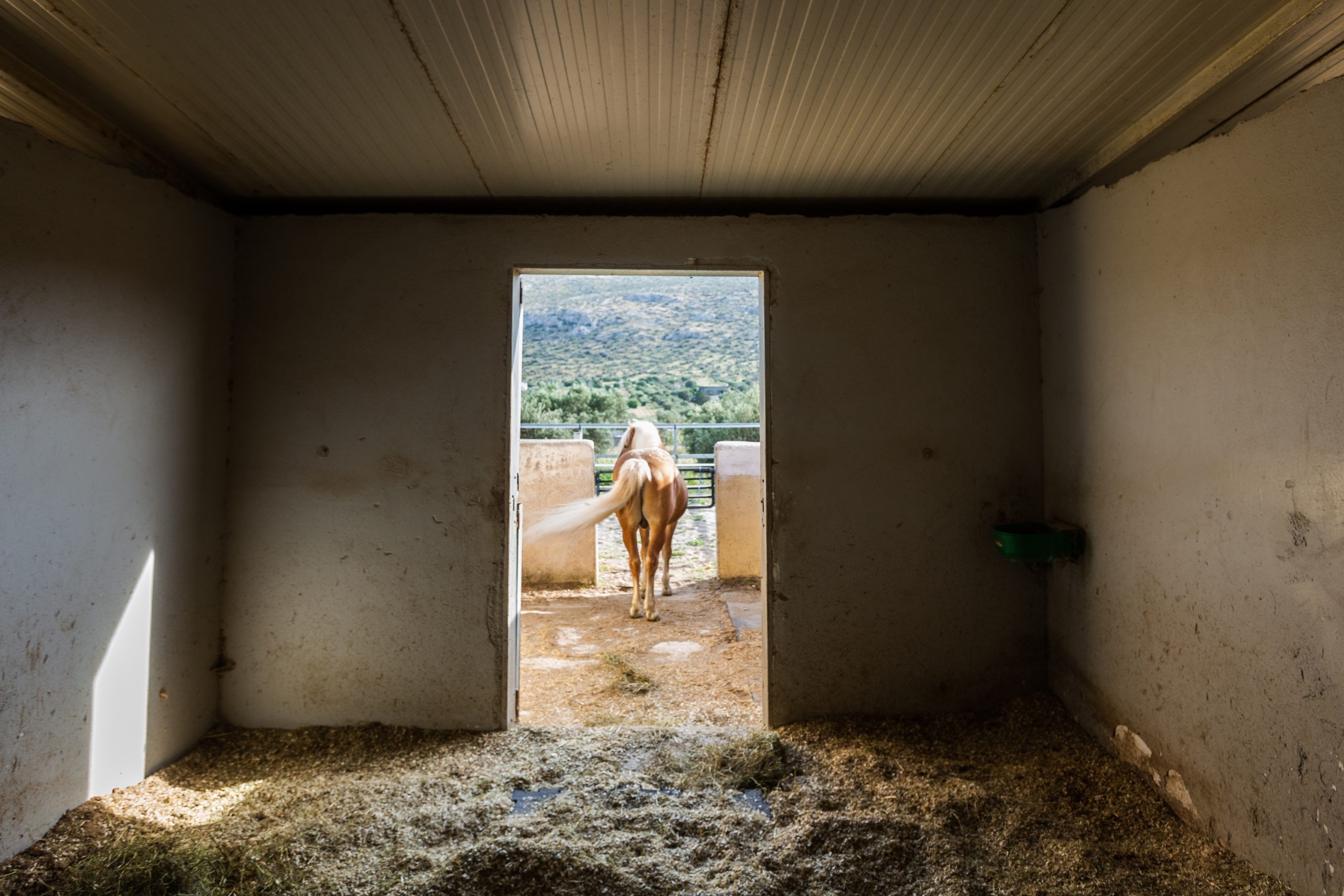 stable3