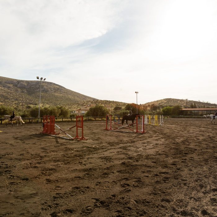 arena1