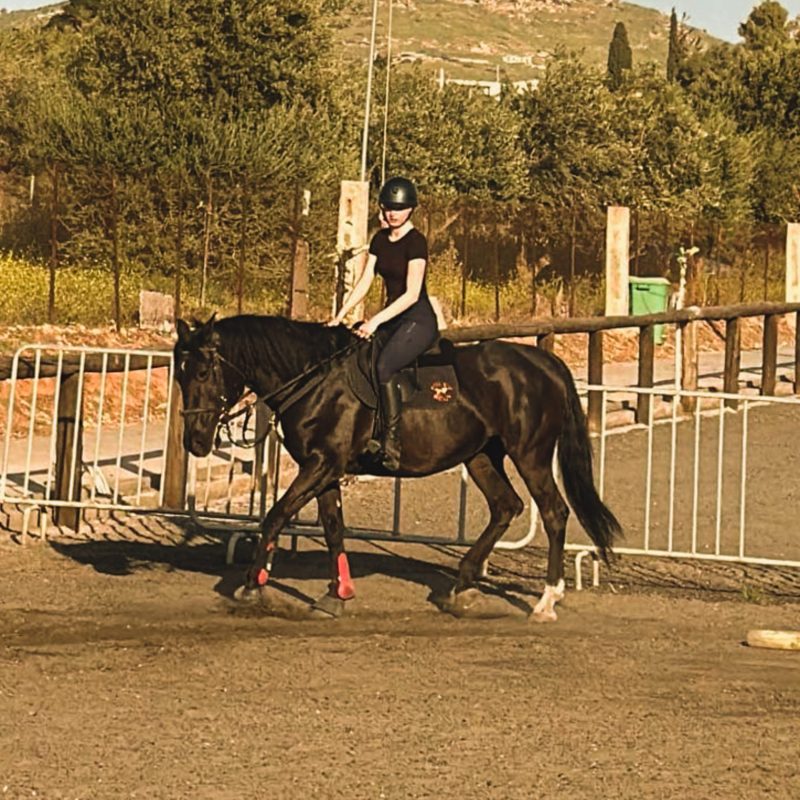 stgeorge25